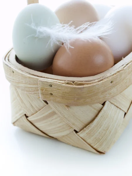 Eier vom Bauernhof — Stockfoto