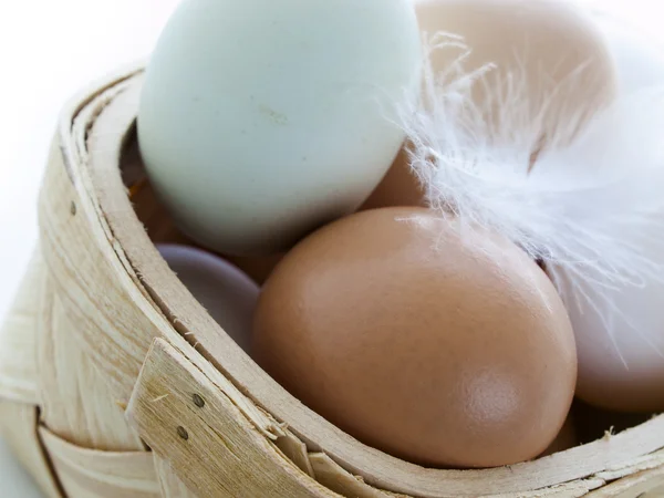 Telur pertanian — Stok Foto
