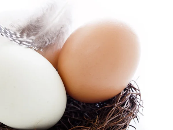 Eier vom Bauernhof — Stockfoto