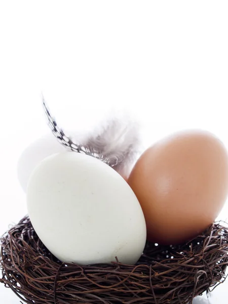 Farm eggs — Stock Photo, Image