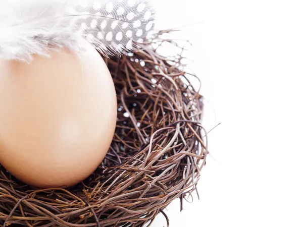 Farm eggs — Stock Photo, Image