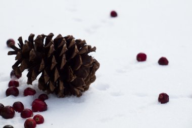 christmas dekorasyon