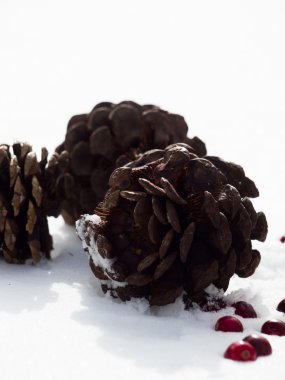 christmas dekorasyon