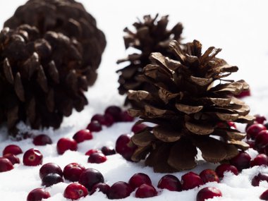 christmas dekorasyon