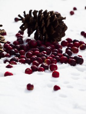 christmas dekorasyon