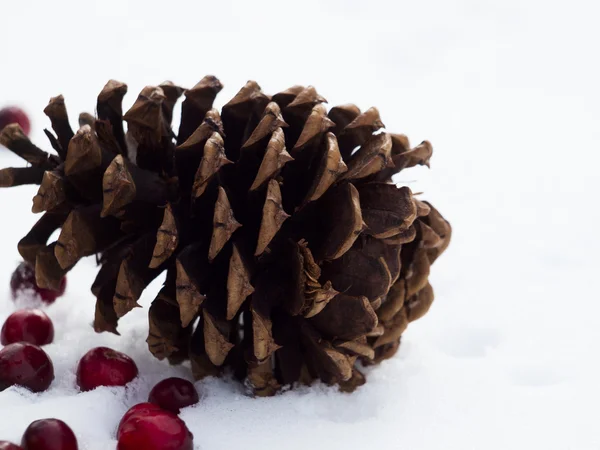 Weihnachtsdekoration — Stockfoto