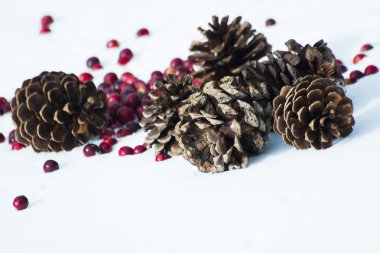 christmas dekorasyon