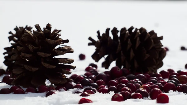 Decoración de Navidad — Foto de Stock