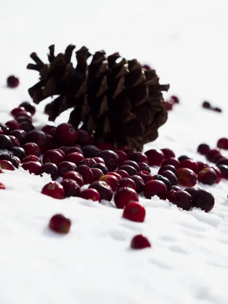 Decoración de Navidad — Foto de Stock