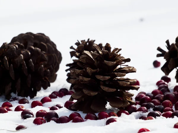 Weihnachtsdekoration — Stockfoto