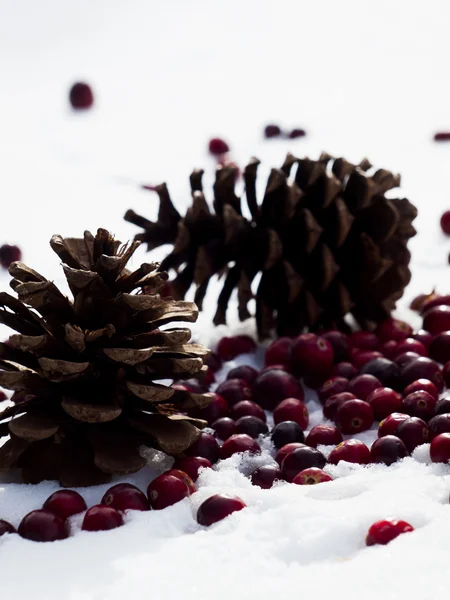 Weihnachtsdekoration — Stockfoto