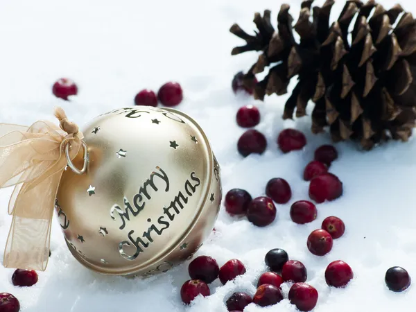 Christmas decoration — Stock Photo, Image