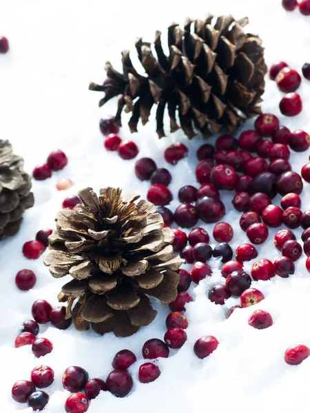 Decoração de Natal — Fotografia de Stock