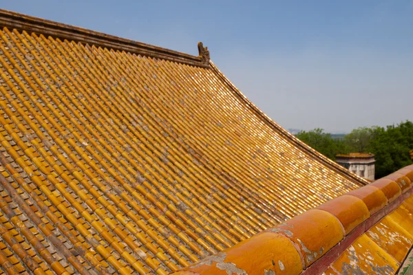 宫殿屋顶 — 图库照片