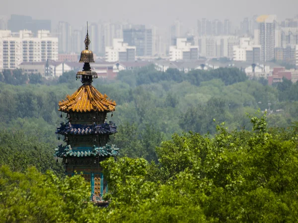 Pagode. — Fotografia de Stock