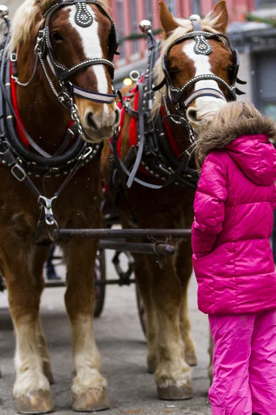 Promenade en chariot tiré par des chevaux — Photo