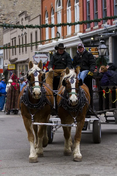 Horse-drawn βαγόνι εμπορευμάτων βόλτα — Φωτογραφία Αρχείου