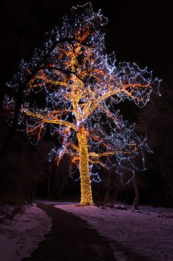 Noel ışıkları