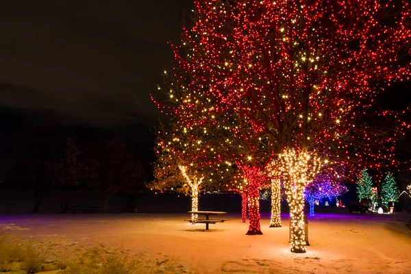 Christmas Lights — Stock Photo, Image