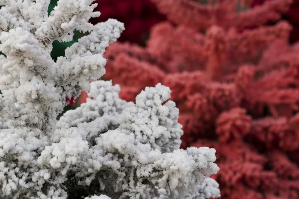 Árbol de Navidad Flocado — Foto de Stock