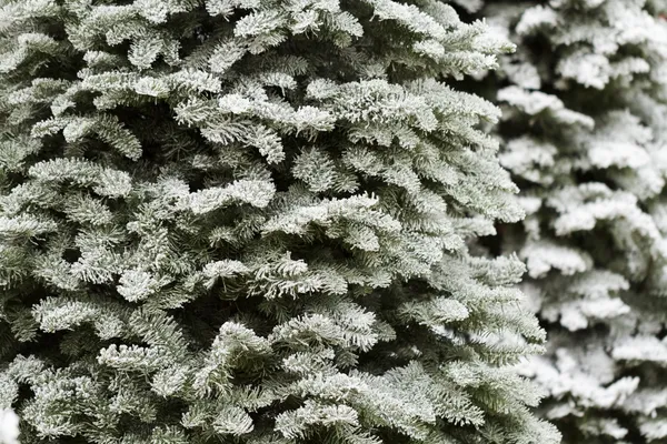 Arbre de Noël floqué — Photo