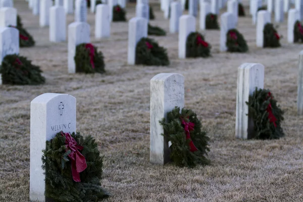 Christmas Honors — Stock Photo, Image