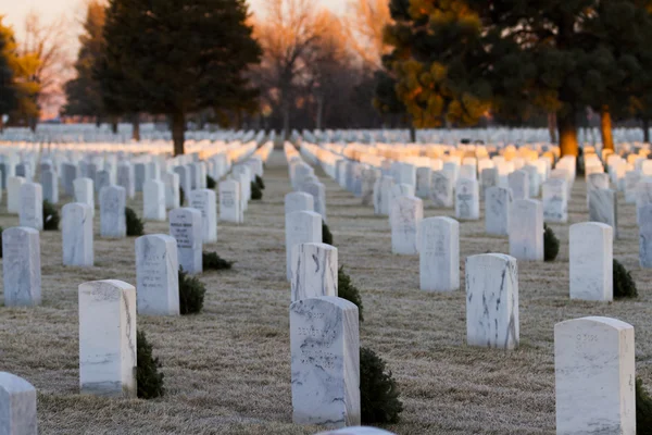 Christmas Honors — Stock Photo, Image