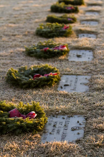 Christmas Honors — Stock Photo, Image