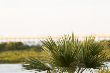 Güney padre Adası