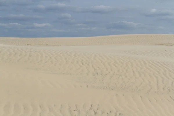 Coastal dunes — Stock Photo, Image