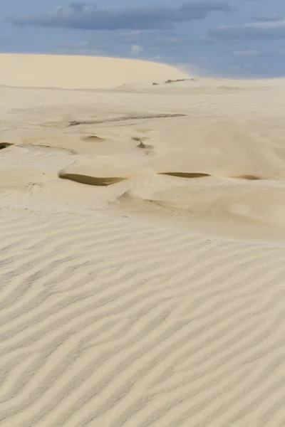 Прибережні дюни — стокове фото