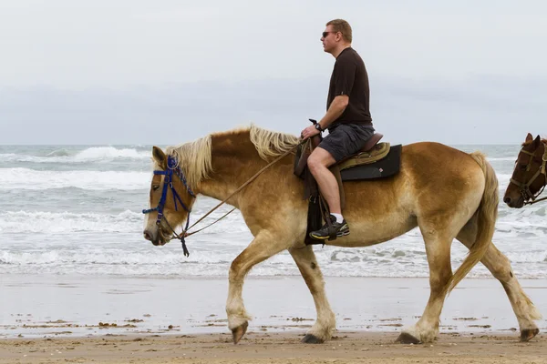 Horeseback riding — Stock Photo, Image