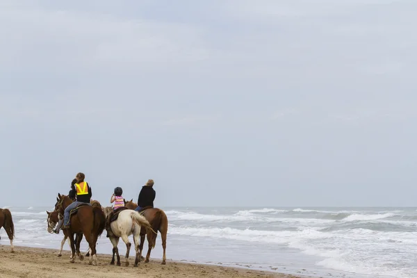 Horeseback ridning — Stockfoto