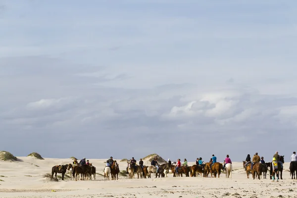 Équitation de Horeseback — Photo