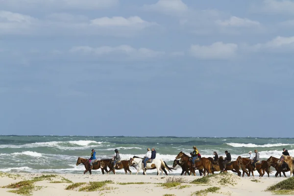 Cabalgatas a caballo — Foto de Stock