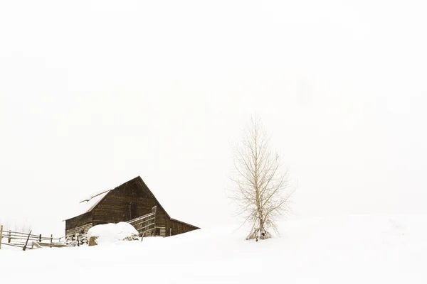 Barn — Stock Photo, Image