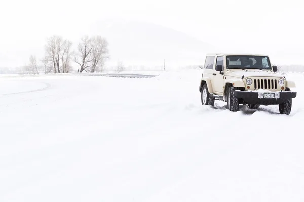 Jeep. — Fotografia de Stock