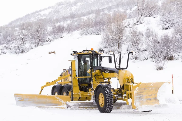 Bagliore di neve — Foto Stock