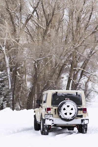 Jeep. — Fotografia de Stock