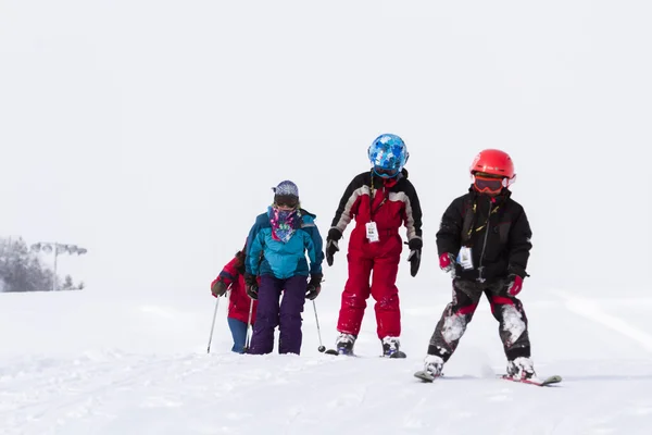 滑雪板 — 图库照片