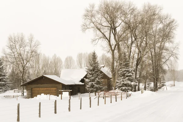 Winter — Stock Photo, Image