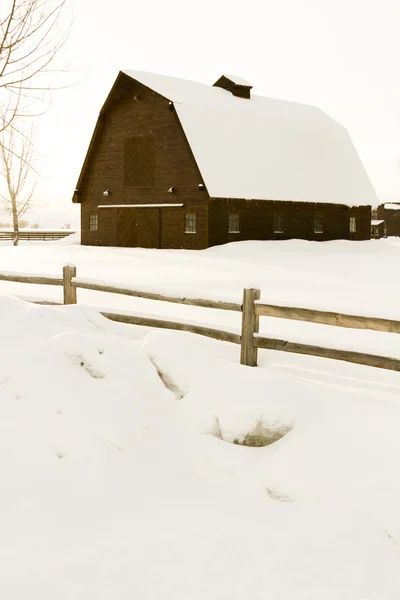 Winter — Stock Photo, Image