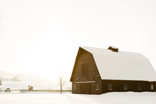 Invierno — Foto de Stock