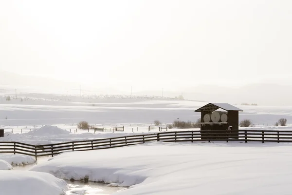 Winter — Stock Photo, Image