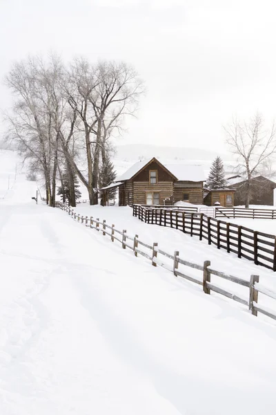 Winter — Stock Photo, Image