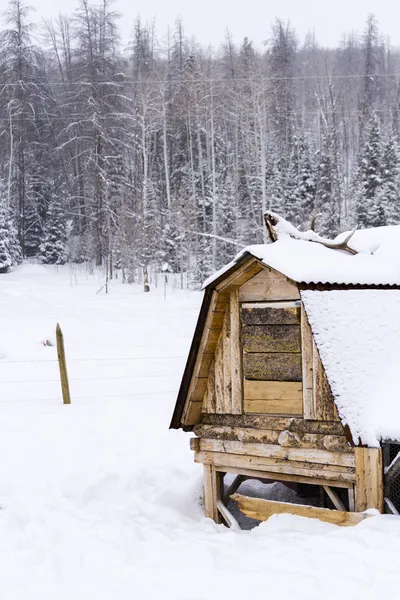 Chicken coop — Stock Photo, Image