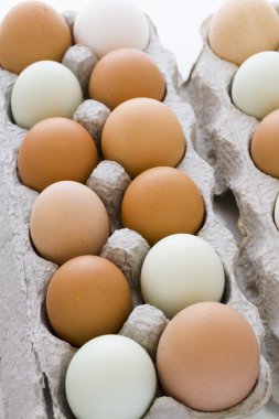 taze yumurta
