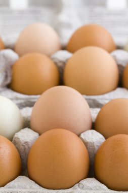 taze yumurta