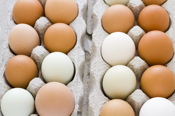 Fresh eggs — Stock Photo, Image