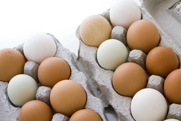 Fresh eggs — Stock Photo, Image